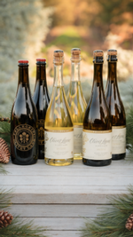 Sparkling Six Bottle Collection 1